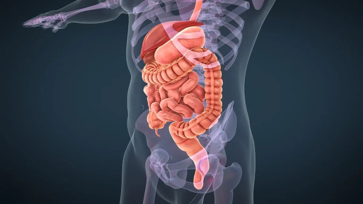 Cirurgia do Aparelho Digestivo - Dr. Romerito Neiva